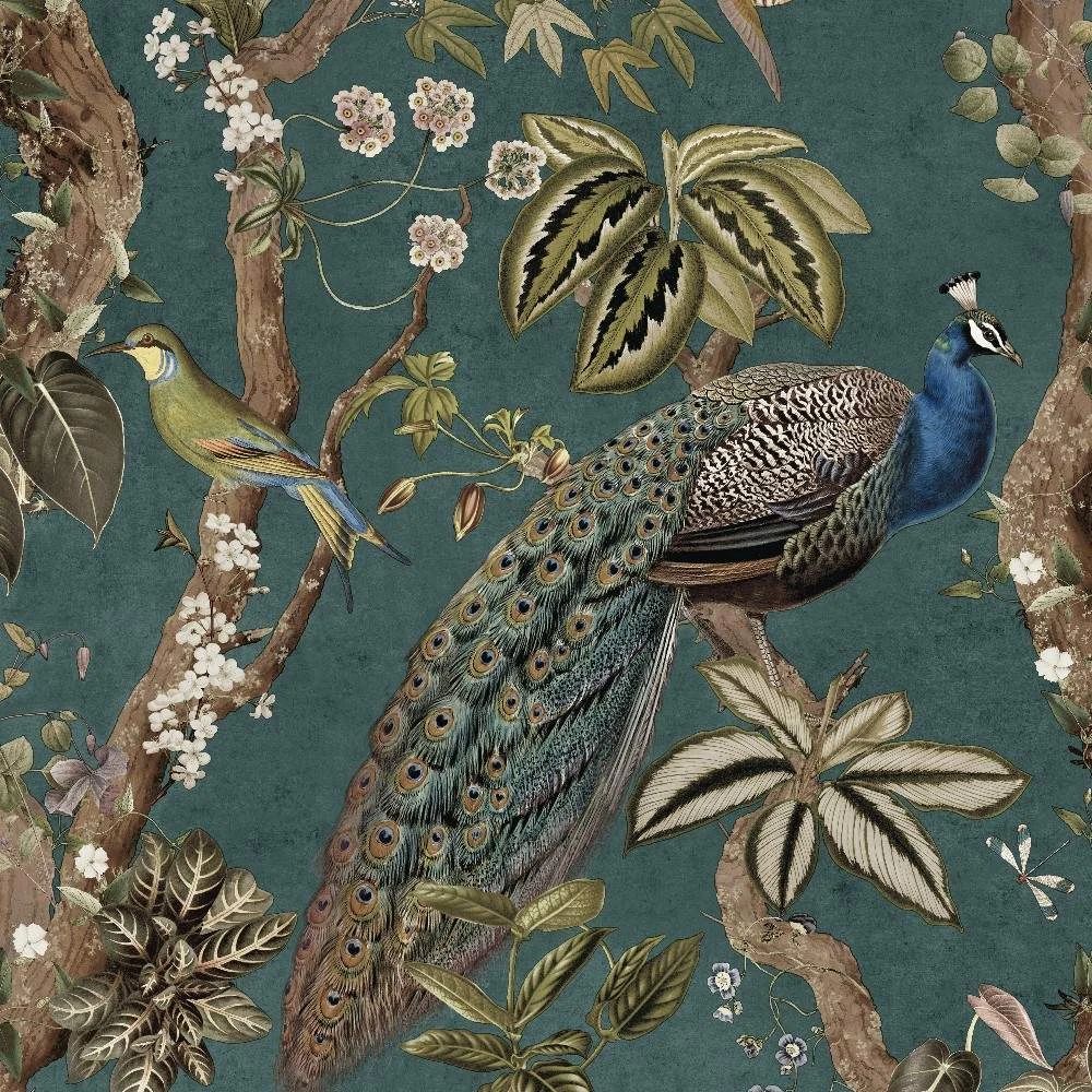 Peacock Woods Aqua Teal Birds Whispering Wilderness Collection Wallpaper 13682 Peacock Woods Aqua Teal Birds Whispering Wilderness Collection Wallpaper 13682