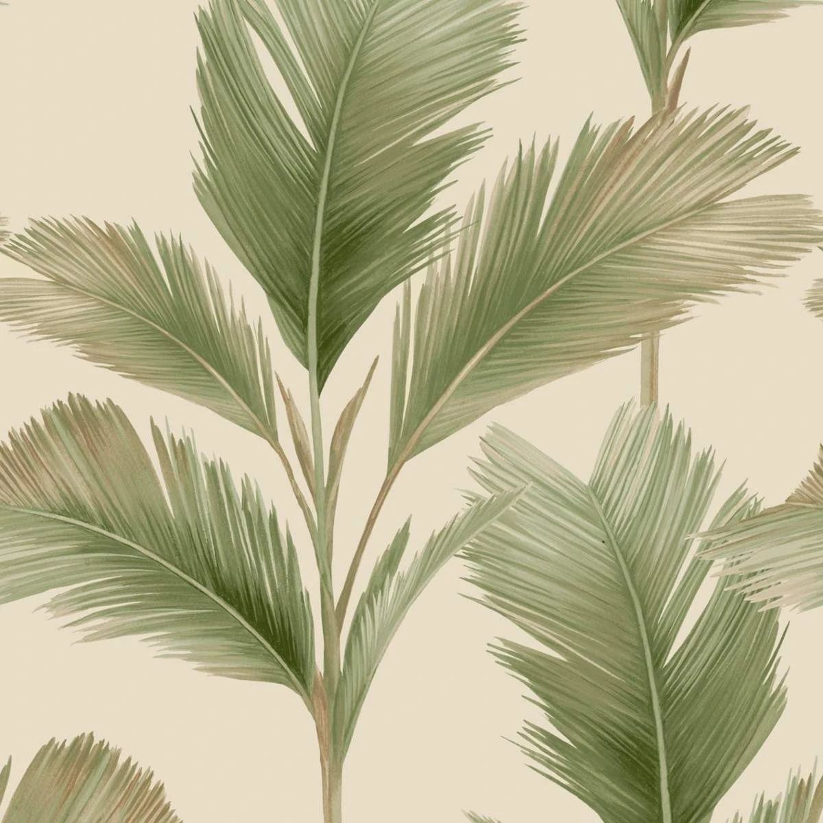 Kailani Palm Tree Leaves Sage Green & Cream Wallpaper 59122 Kailani Palm Tree Leaves Sage Green & Cream Wallpaper 59122