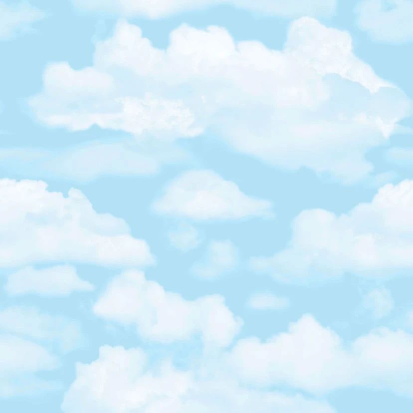 Cloud 9 Children's Wallpaper 51-058