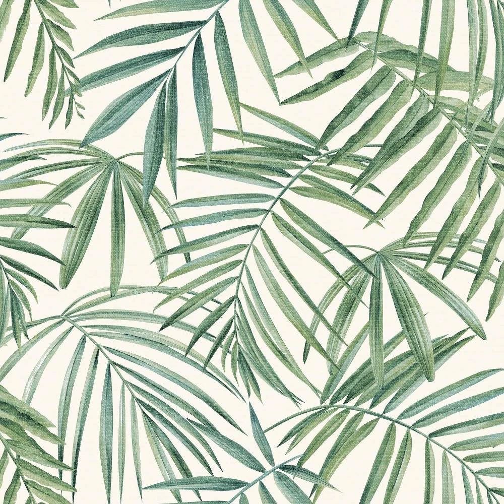 Palm Leaves Green Conversational Wallpaper 923909