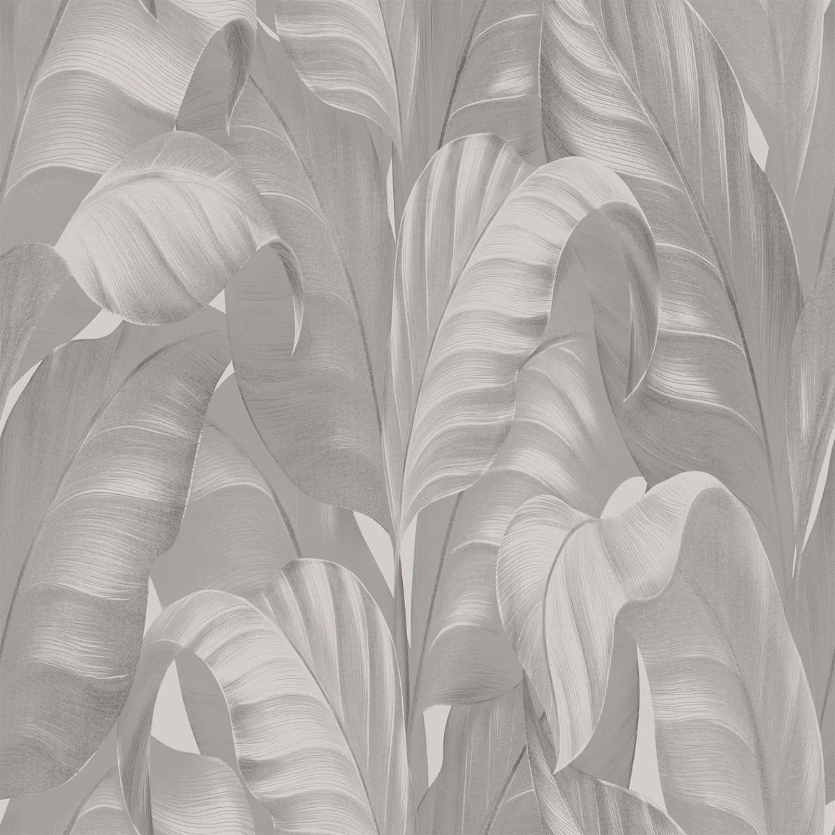 Sumatra Tropical Banana Leaves Grey Wallpaper 2363 Sumatra Tropical Banana Leaves Grey Wallpaper 2363