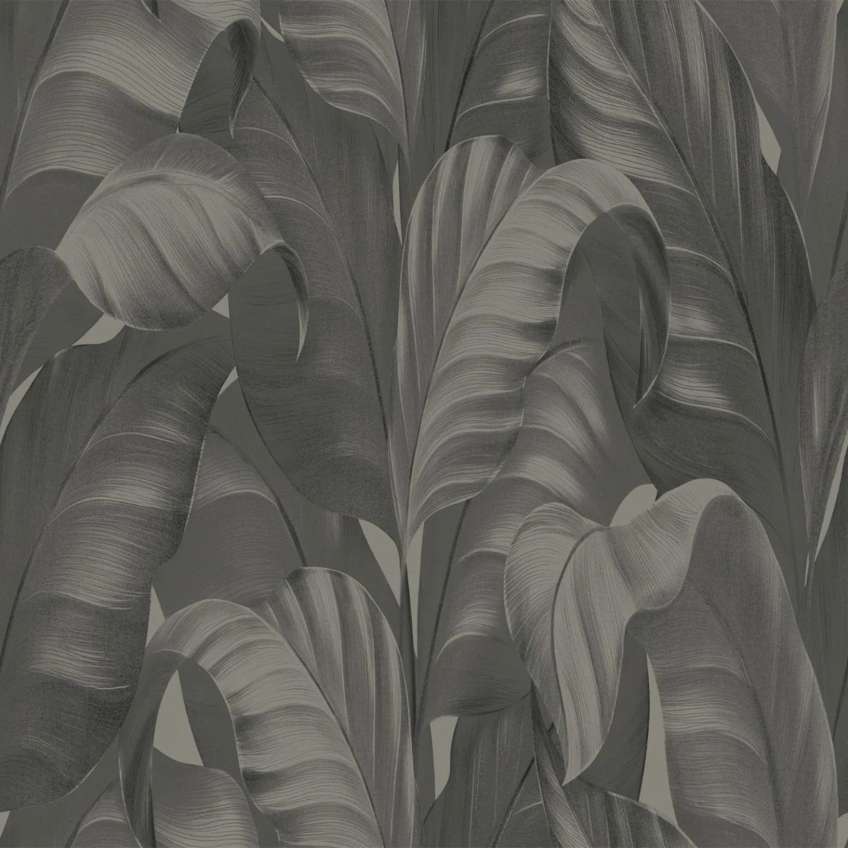 Sumatra Tropical Banana Leaves Charcoal Wallpaper 2361 Sumatra Tropical Banana Leaves Charcoal Wallpaper 2361