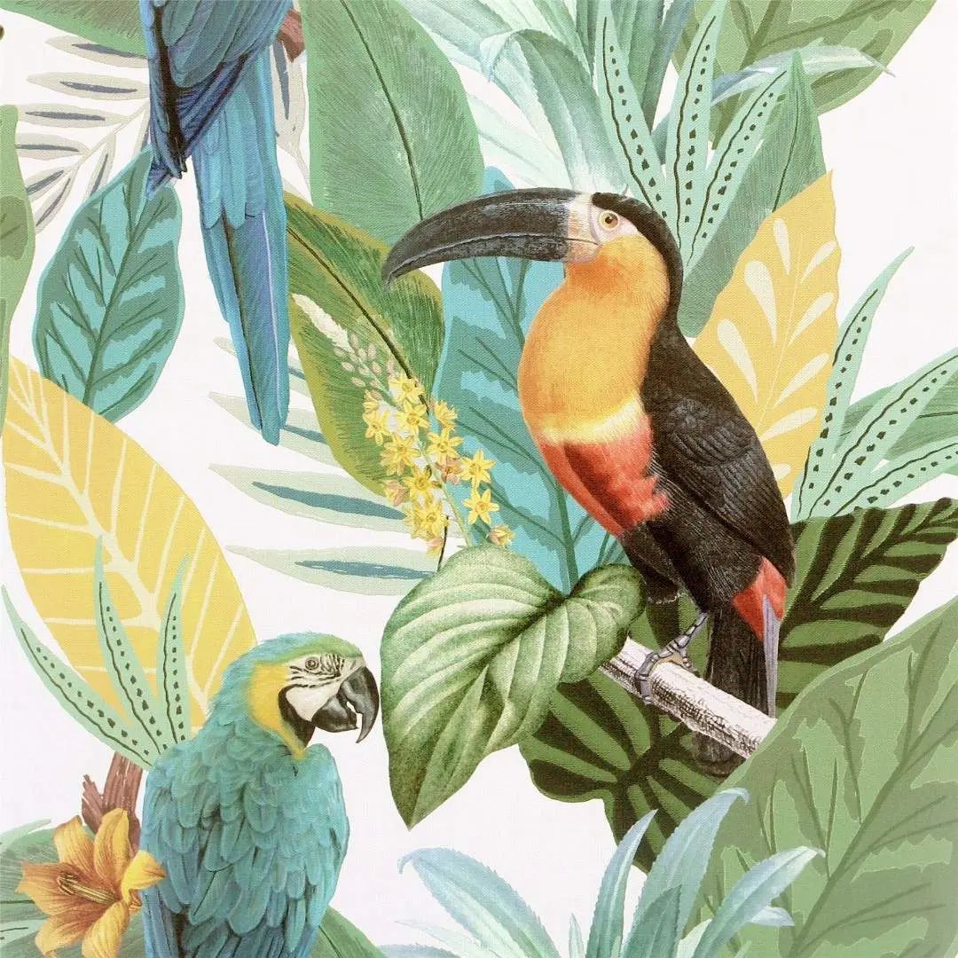 Toucan Jungle Birds Multicoloured Wallpaper 296803