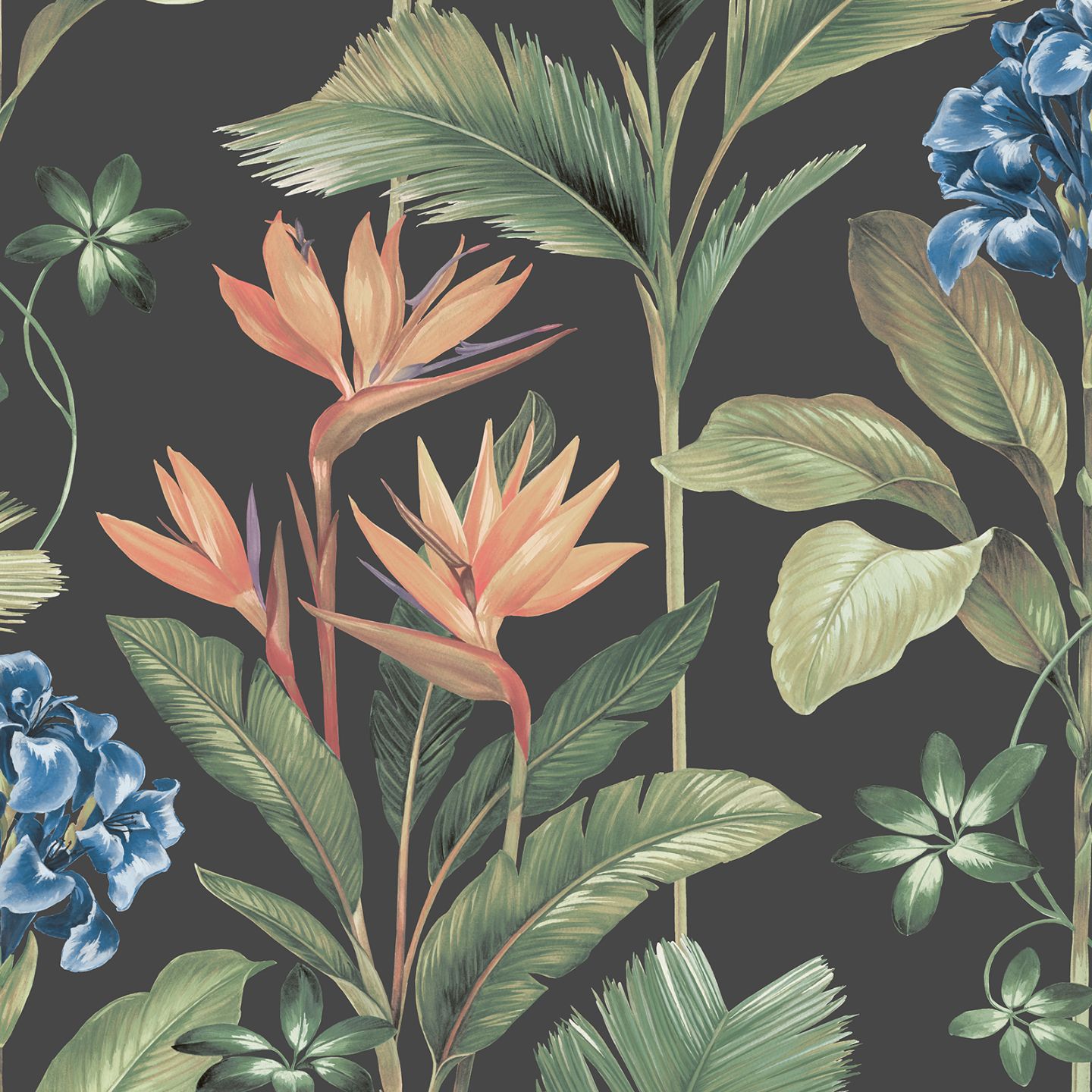 Oliana Floral Charcoal Black Wallpaper 8484