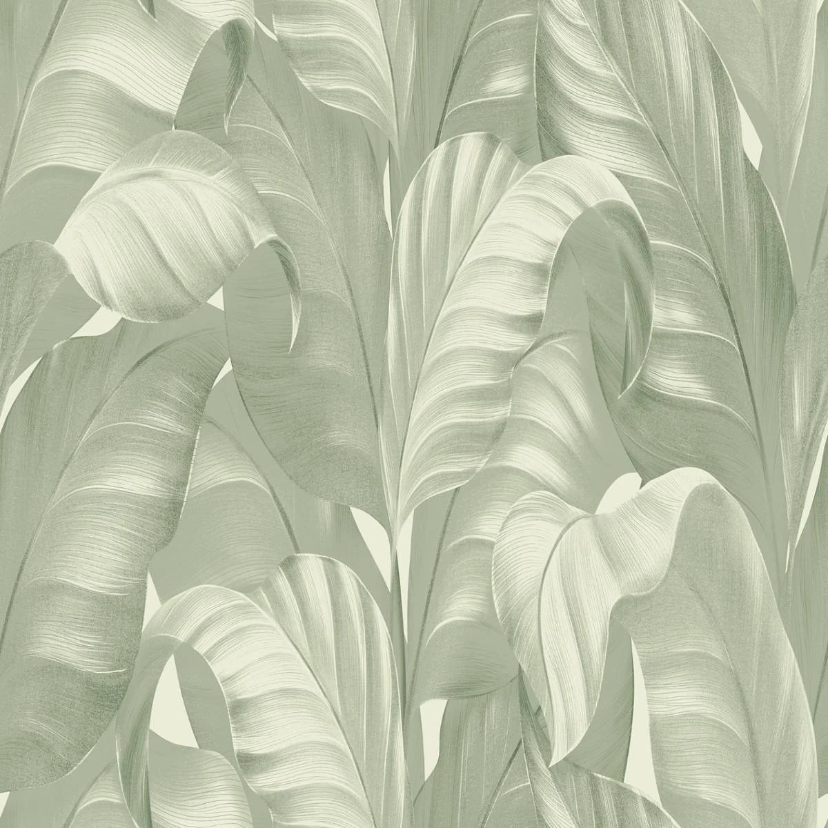 Sumatra Tropical Banana Leaves Sage Wallpaper 2364 Sumatra Tropical Banana Leaves Sage Wallpaper 2364