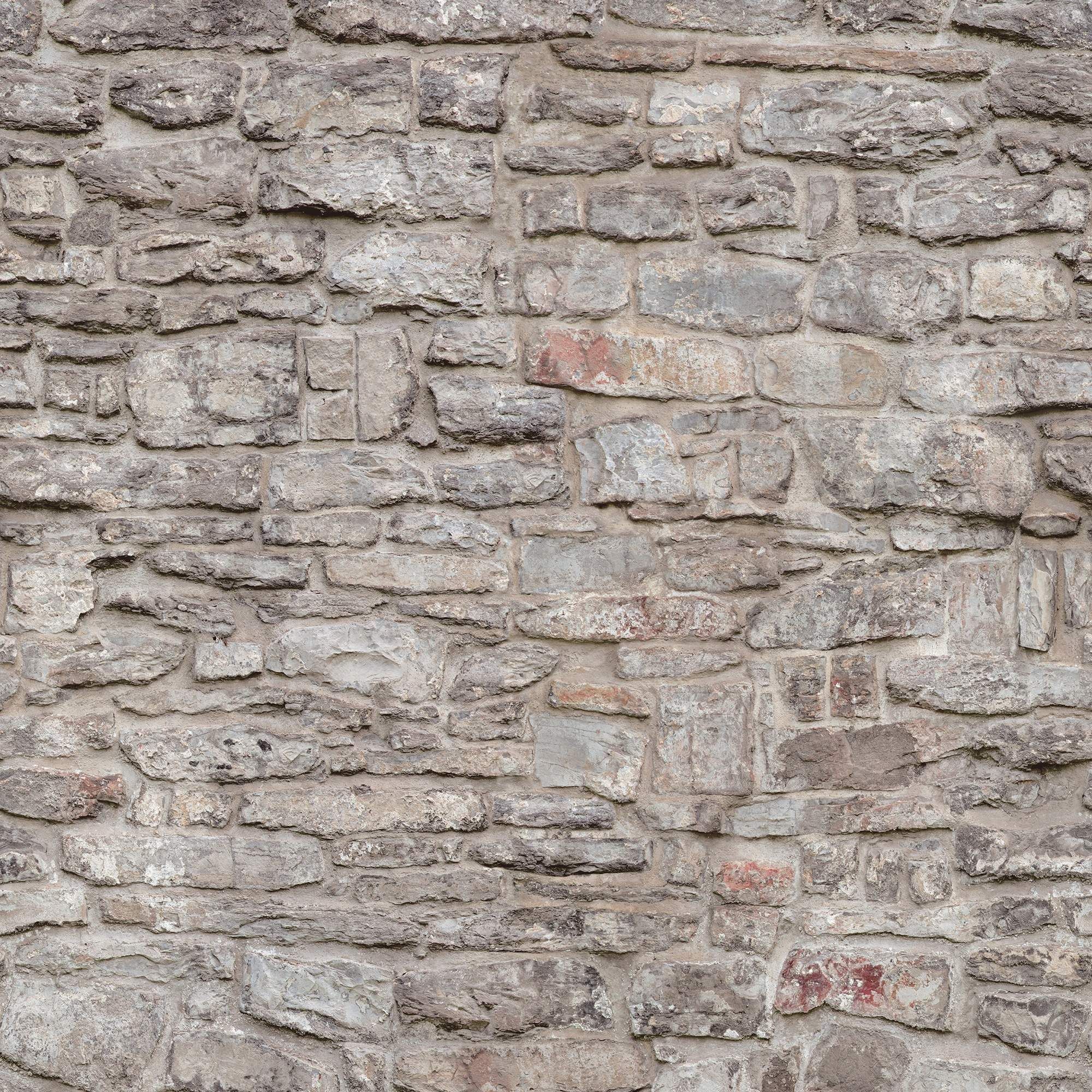 Castle Wall Mural Wallpaper A51701