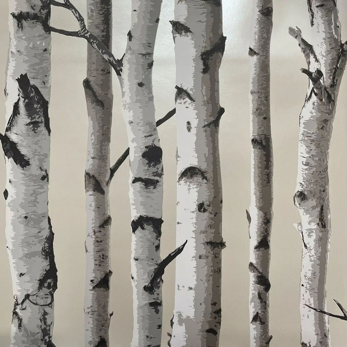 Birch Trees Cream and Silver Wallpaper FD31051