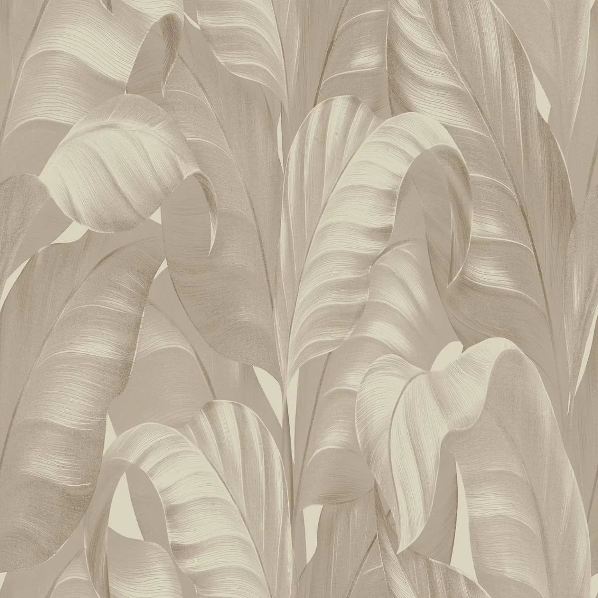 Sumatra Tropical Banana Leaves Beige Wallpaper 2360 Sumatra Tropical Banana Leaves Beige Wallpaper 2360