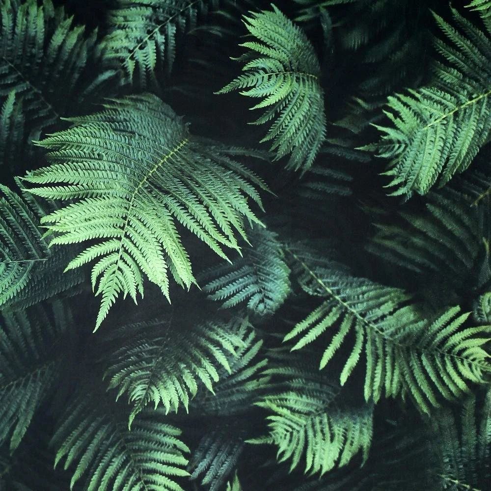 Fern Wall Green 3D Conversational Wallpaper 907601 Fern Wall Green 3D Conversational Wallpaper 907601