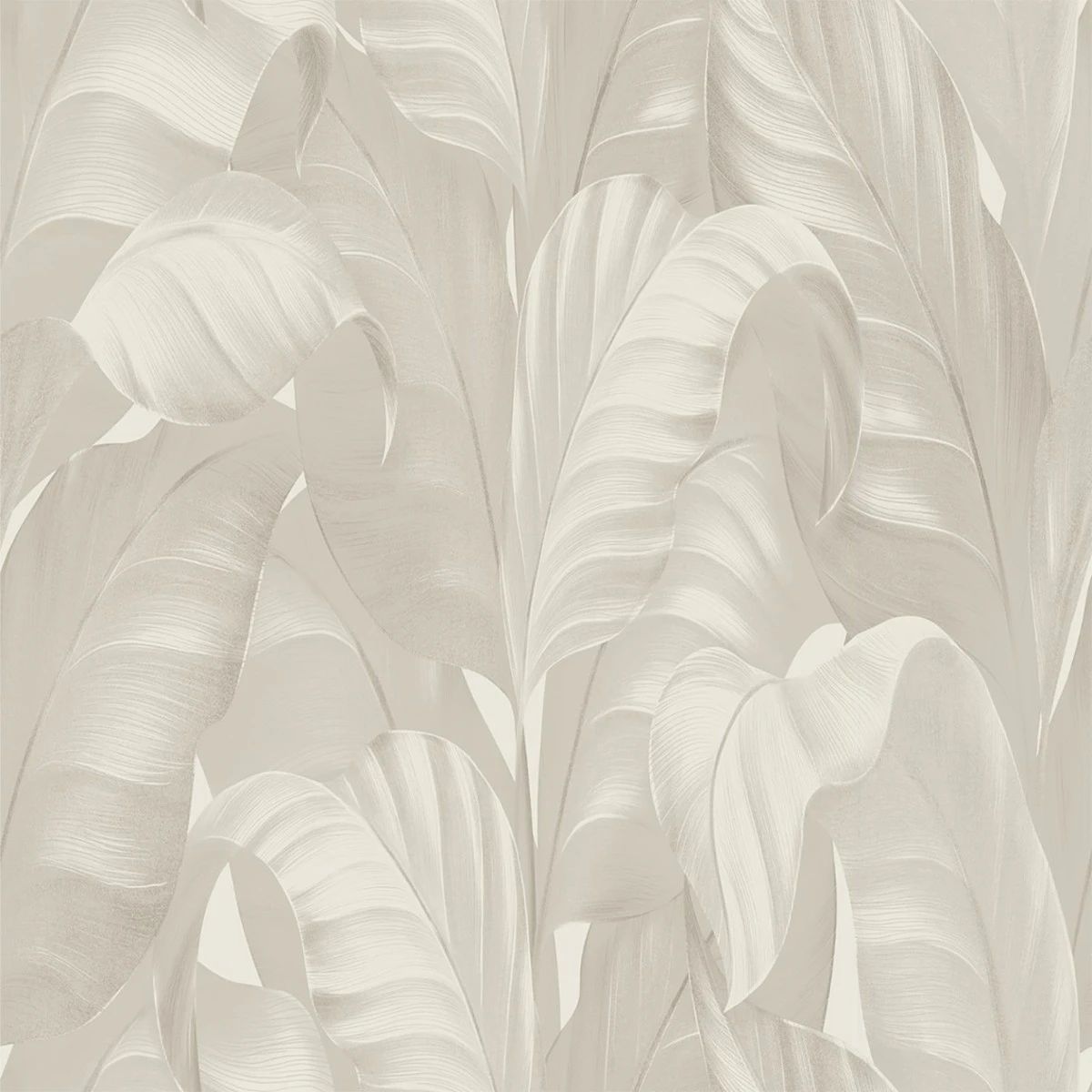 Sumatra Tropical Banana Leaves Cream Wallpaper 2362 Sumatra Tropical Banana Leaves Cream Wallpaper 2362
