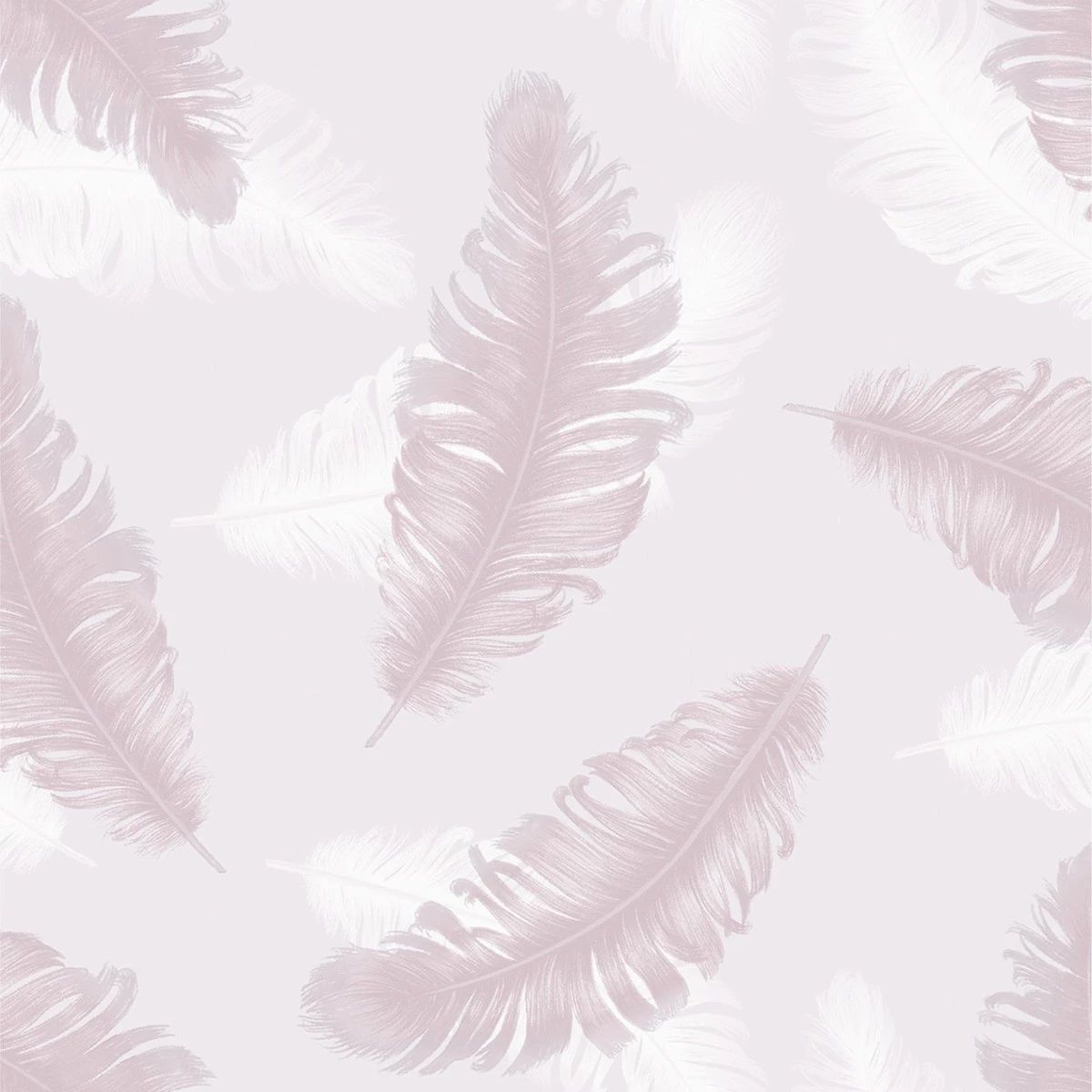 Whisper Feather Pink Wallpaper 773 Whisper Feather Pink Wallpaper 773