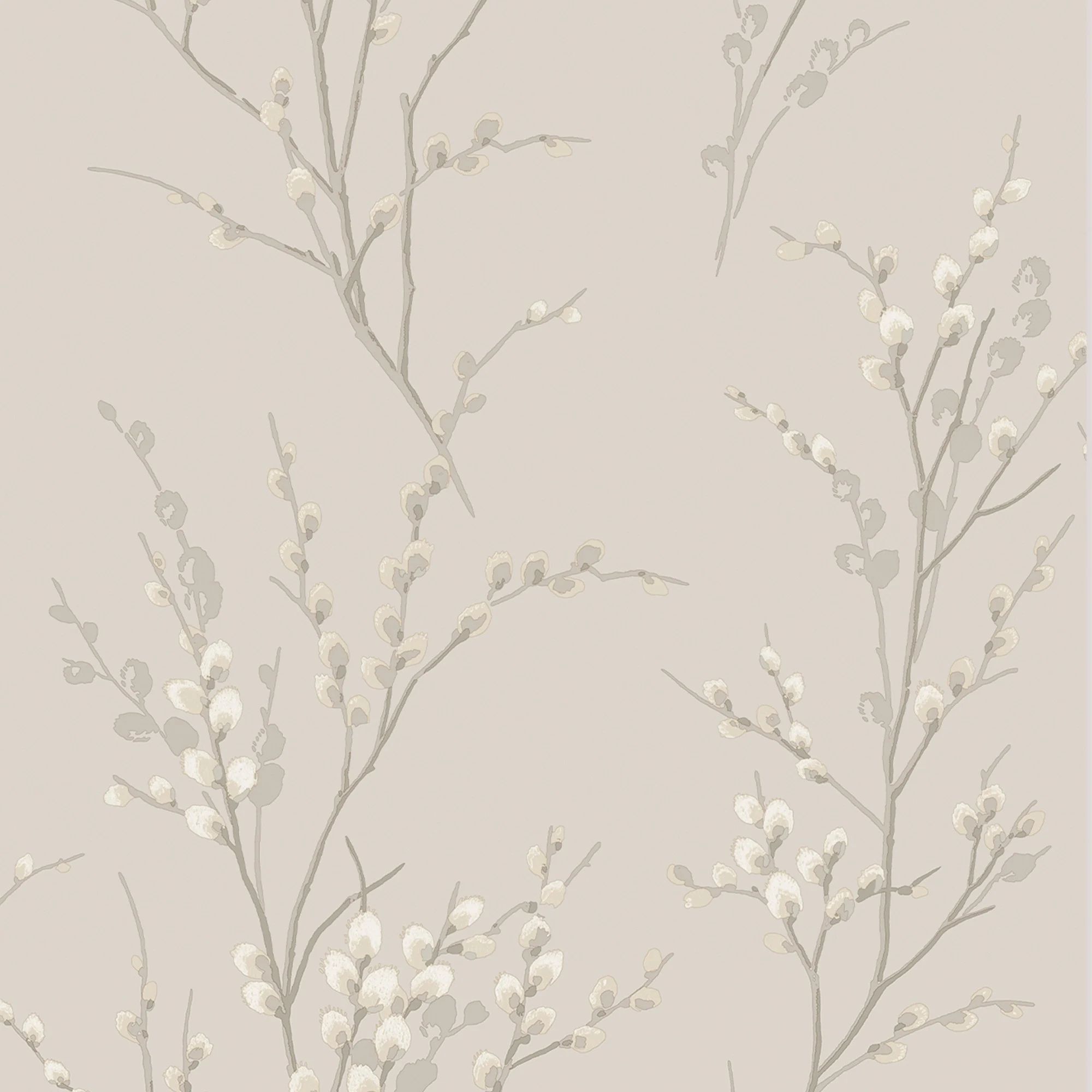 Pussy Willow Dove Grey Sprigs Laura Ashley Wallpaper 113361 Pussy Willow Dove Grey Sprigs Laura Ashley Wallpaper 113361