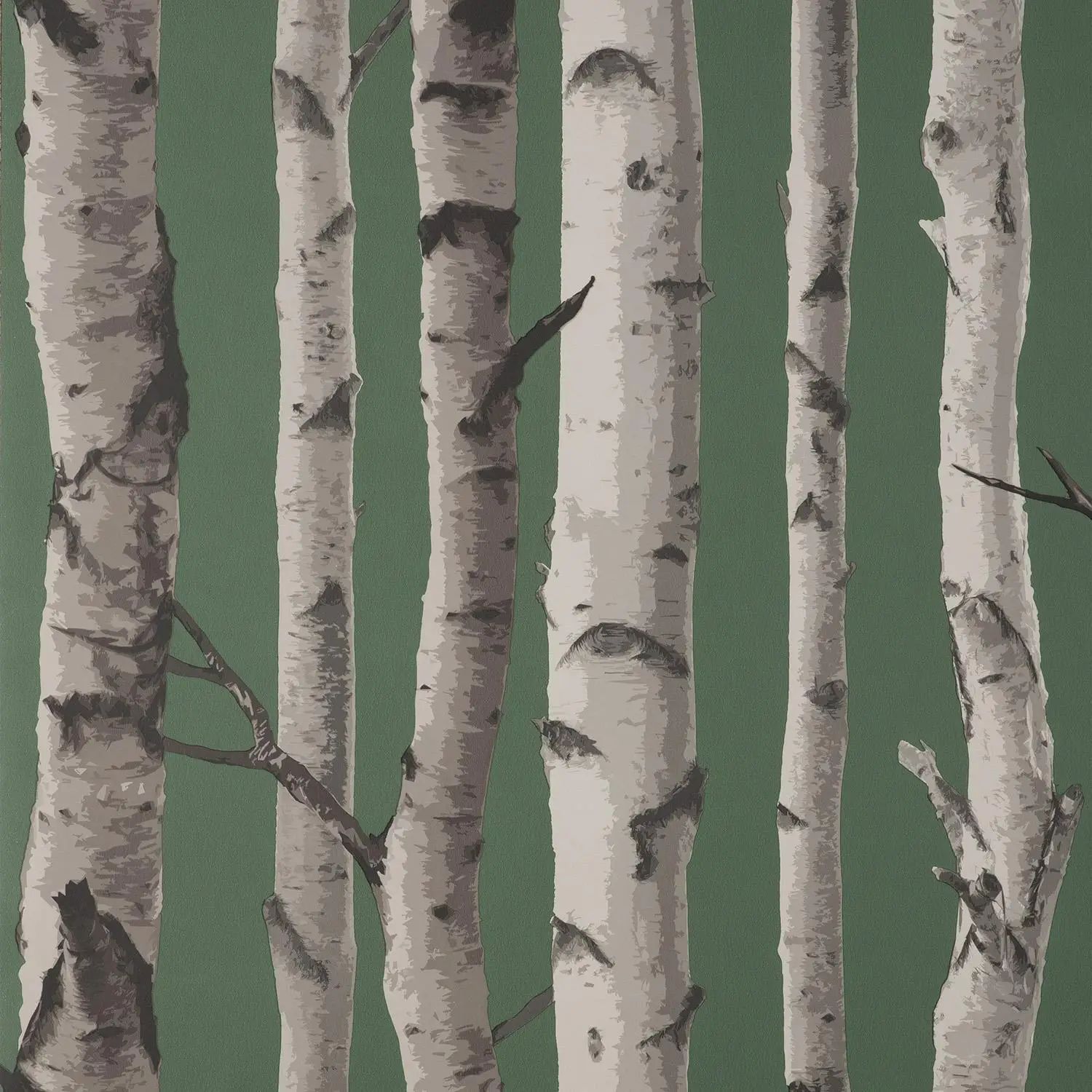 Birch Trees Racing Green and Silver Wallpaper FD43292