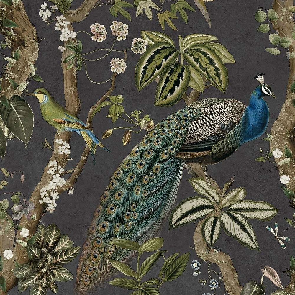 Peacock Woods Charcoal Birds Whispering Wilderness Collection Wallpaper 13681