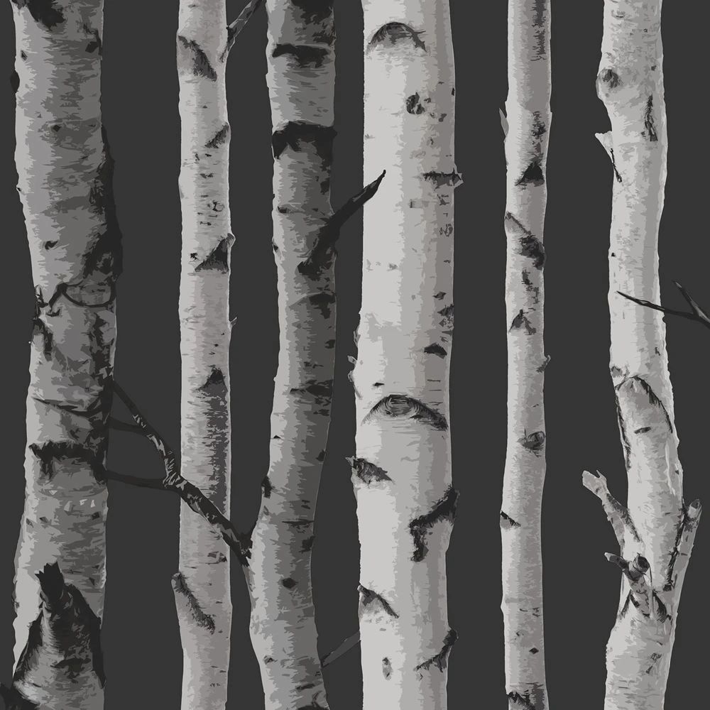 Birch Trees Black and Silver Wallpaper FD31052