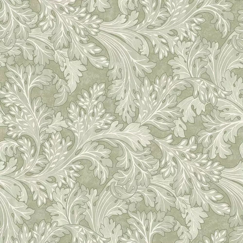 Botanical Scroll Sage Green Curling Leaves Wallpaper 13720
