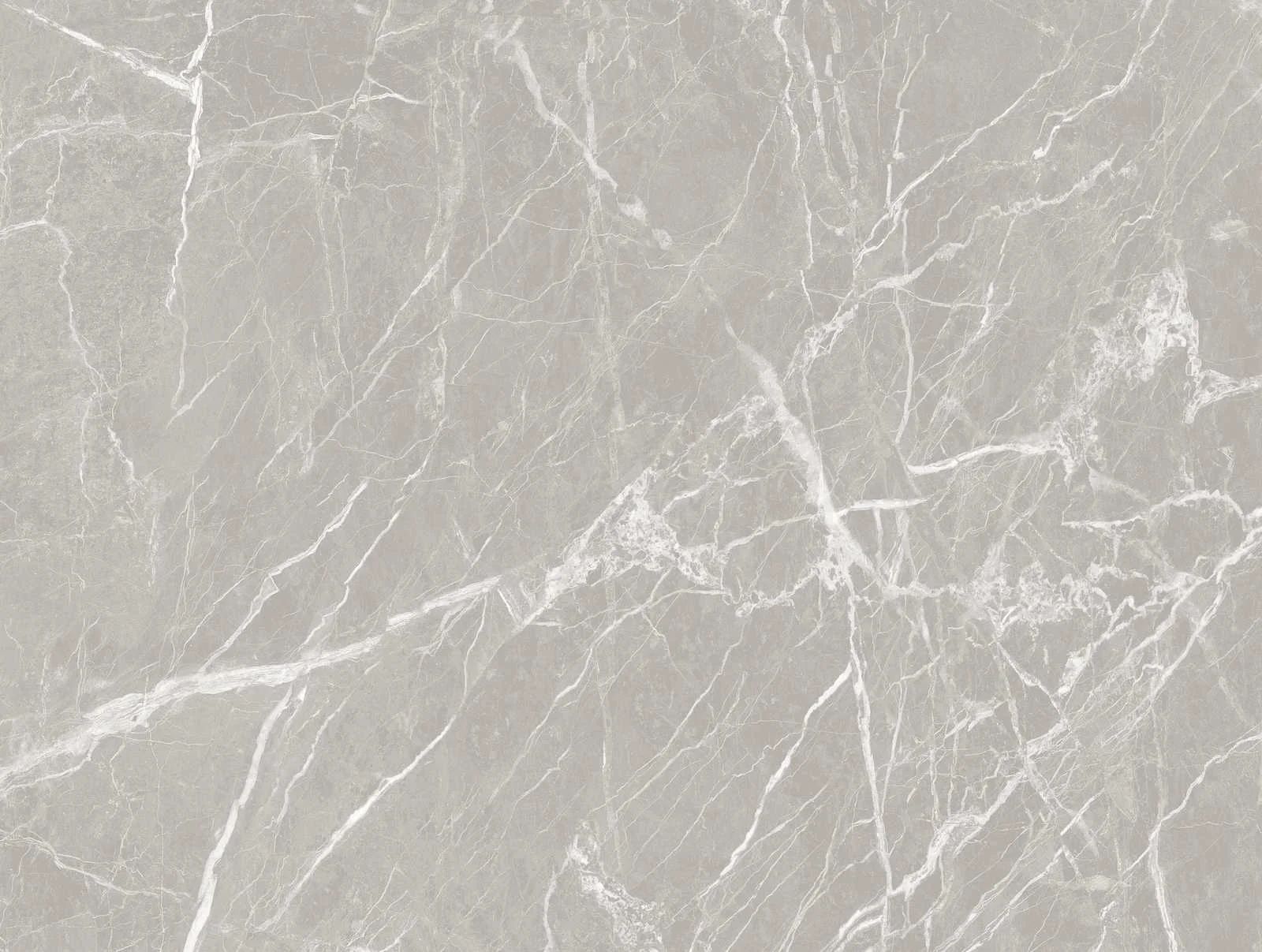 Rock Veins Metropolitan Stories Mural 382271