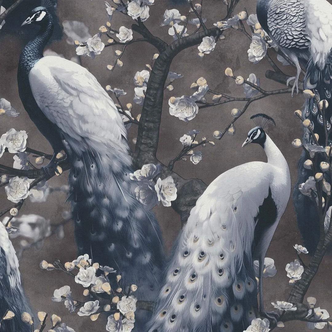 Play of Light Peacocks Charcoal Black Vinyl Wallpaper 10414-15