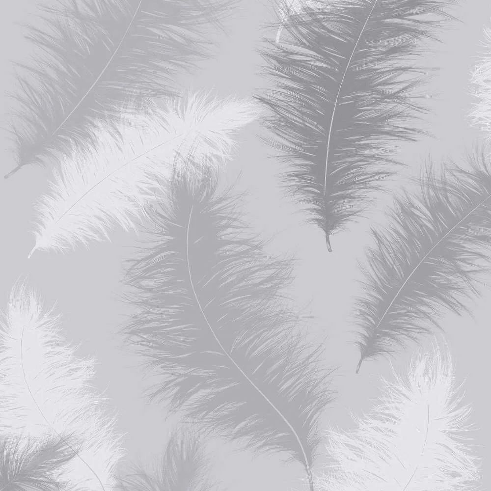 Sussurro Feather Grey Wallpaper 901705