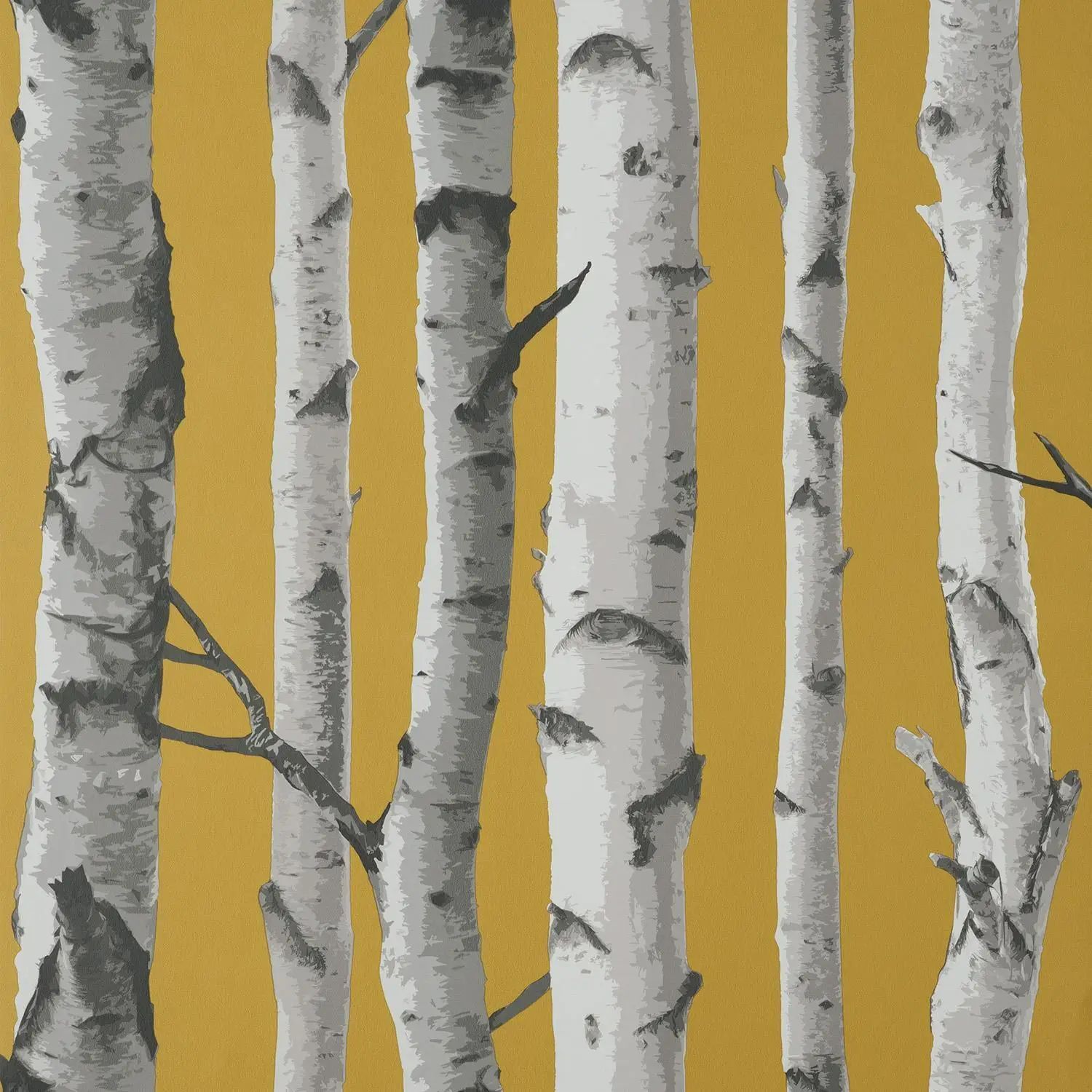 Birch Trees Mustard and Silver Wallpaper FD43290