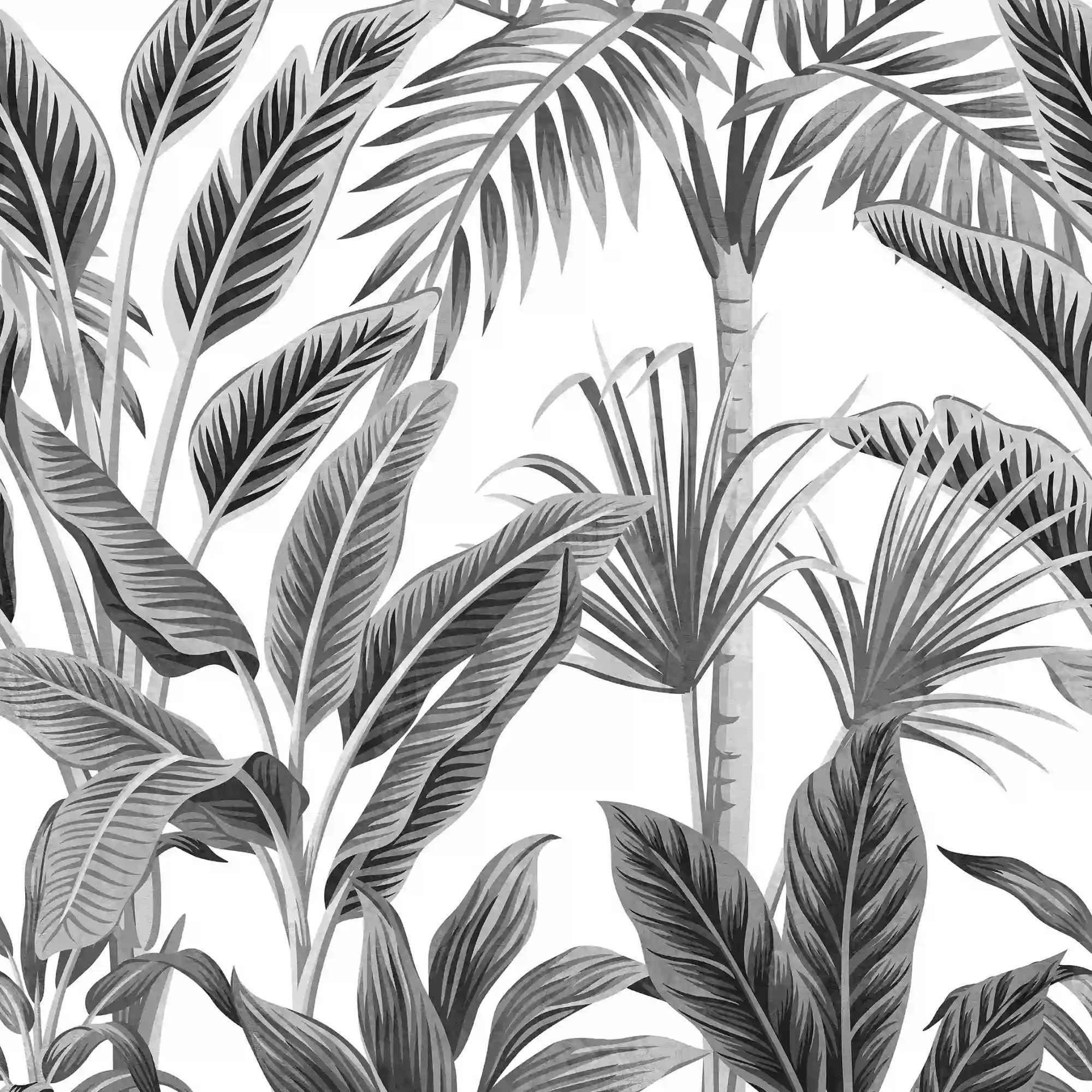 Paysage Mural Wallpaper A40801