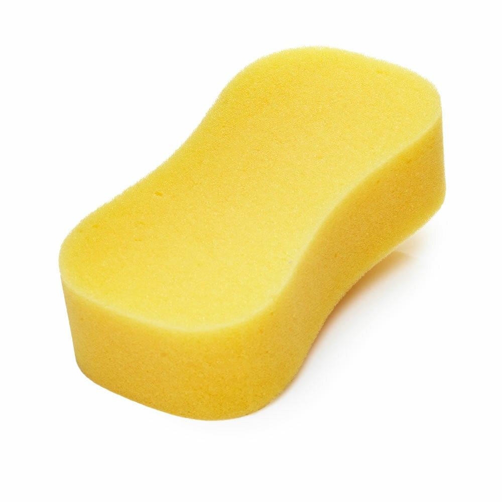 Large Decorating Sponge