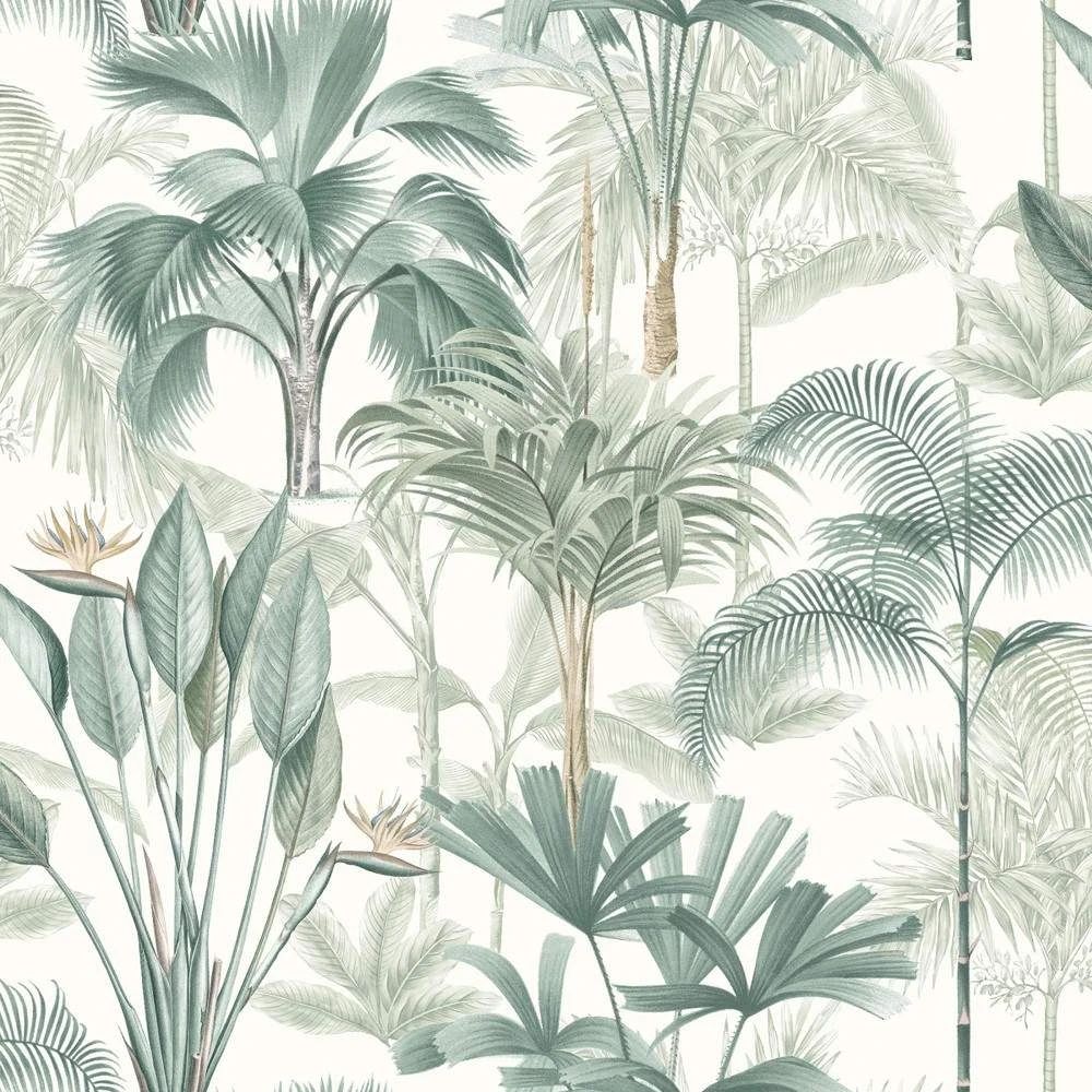 King Palm Trees Green Wallpaper 922908